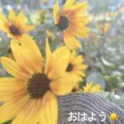 ヒメ日記 2025/10/03 07:02 投稿 さやか CLASSY.東京・錦糸町店