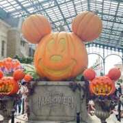 ヒメ日記 2025/10/03 18:42 投稿 さやか CLASSY.東京・錦糸町店