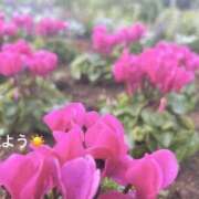 ヒメ日記 2025/10/04 07:12 投稿 さやか CLASSY.東京・錦糸町店