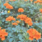 ヒメ日記 2025/10/05 07:12 投稿 さやか CLASSY.東京・錦糸町店