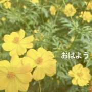 ヒメ日記 2025/10/13 06:22 投稿 さやか CLASSY.東京・錦糸町店