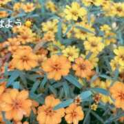 ヒメ日記 2025/10/22 07:02 投稿 さやか CLASSY.東京・錦糸町店