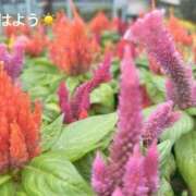 ヒメ日記 2025/10/29 07:02 投稿 さやか CLASSY.東京・錦糸町店