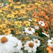 ヒメ日記 2025/10/30 07:12 投稿 さやか CLASSY.東京・錦糸町店