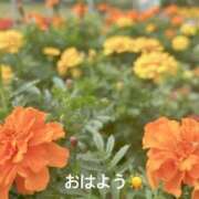 ヒメ日記 2025/11/06 07:02 投稿 さやか CLASSY.東京・錦糸町店