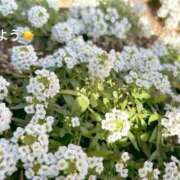 ヒメ日記 2025/11/20 07:22 投稿 さやか CLASSY.東京・錦糸町店