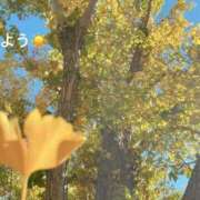 ヒメ日記 2025/11/21 07:02 投稿 さやか CLASSY.東京・錦糸町店