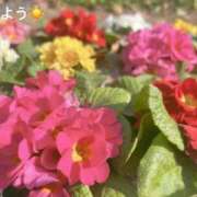 ヒメ日記 2025/11/28 08:02 投稿 さやか CLASSY.東京・錦糸町店