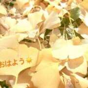 ヒメ日記 2025/11/29 07:22 投稿 さやか CLASSY.東京・錦糸町店