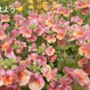 ヒメ日記 2025/12/05 07:32 投稿 さやか CLASSY.東京・錦糸町店