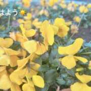 ヒメ日記 2026/01/25 08:22 投稿 さやか CLASSY.東京・錦糸町店