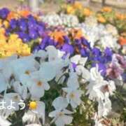 ヒメ日記 2026/02/07 07:22 投稿 さやか CLASSY.東京・錦糸町店