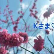 ヒメ日記 2026/02/23 14:12 投稿 さやか CLASSY.東京・錦糸町店