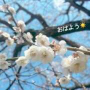 ヒメ日記 2026/02/24 07:22 投稿 さやか CLASSY.東京・錦糸町店