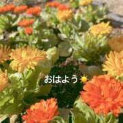 ヒメ日記 2026/02/27 07:12 投稿 さやか CLASSY.東京・錦糸町店