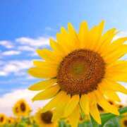 ヒメ日記 2026/02/27 11:52 投稿 さやか CLASSY.東京・錦糸町店