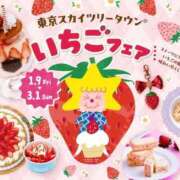 ヒメ日記 2026/03/01 11:12 投稿 さやか CLASSY.東京・錦糸町店