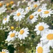 ヒメ日記 2026/03/05 07:22 投稿 さやか CLASSY.東京・錦糸町店