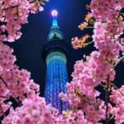 ヒメ日記 2026/03/05 11:12 投稿 さやか CLASSY.東京・錦糸町店