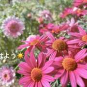 ヒメ日記 2026/03/06 07:12 投稿 さやか CLASSY.東京・錦糸町店