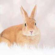 ヒメ日記 2026/03/07 11:12 投稿 さやか CLASSY.東京・錦糸町店