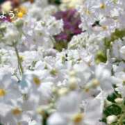 ヒメ日記 2026/03/12 07:12 投稿 さやか CLASSY.東京・錦糸町店