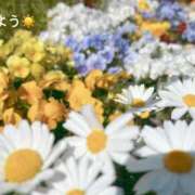 ヒメ日記 2026/03/13 07:12 投稿 さやか CLASSY.東京・錦糸町店