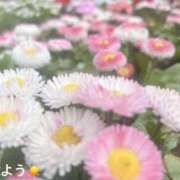 ヒメ日記 2026/03/20 07:02 投稿 さやか CLASSY.東京・錦糸町店