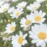 ヒメ日記 2026/03/21 07:22 投稿 さやか CLASSY.東京・錦糸町店