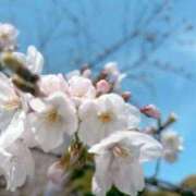 ヒメ日記 2026/03/21 12:07 投稿 さやか CLASSY.東京・錦糸町店