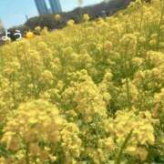 ヒメ日記 2026/03/23 07:02 投稿 さやか CLASSY.東京・錦糸町店