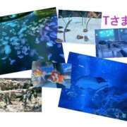 ヒメ日記 2026/03/26 14:48 投稿 さやか CLASSY.東京・錦糸町店