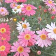 ヒメ日記 2026/03/27 07:02 投稿 さやか CLASSY.東京・錦糸町店