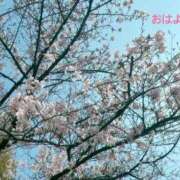 ヒメ日記 2026/03/30 07:42 投稿 さやか CLASSY.東京・錦糸町店