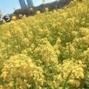 ヒメ日記 2026/04/03 08:17 投稿 さやか CLASSY.東京・錦糸町店