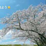 ヒメ日記 2026/04/08 07:02 投稿 さやか CLASSY.東京・錦糸町店