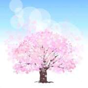 ヒメ日記 2026/04/11 10:28 投稿 さやか CLASSY.東京・錦糸町店