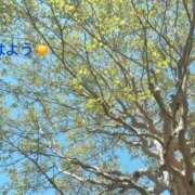 ヒメ日記 2026/04/14 07:22 投稿 さやか CLASSY.東京・錦糸町店