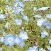 ヒメ日記 2026/04/18 07:12 投稿 さやか CLASSY.東京・錦糸町店