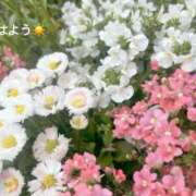 ヒメ日記 2026/04/19 07:22 投稿 さやか CLASSY.東京・錦糸町店