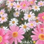 ヒメ日記 2026/05/04 07:22 投稿 さやか CLASSY.東京・錦糸町店