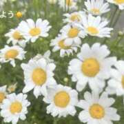 ヒメ日記 2026/05/07 07:22 投稿 さやか CLASSY.東京・錦糸町店