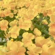 ヒメ日記 2026/05/08 07:12 投稿 さやか CLASSY.東京・錦糸町店