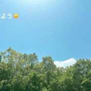 ヒメ日記 2026/05/16 07:12 投稿 さやか CLASSY.東京・錦糸町店