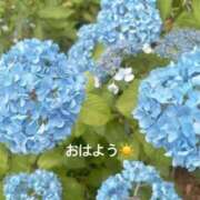 ヒメ日記 2026/06/02 07:22 投稿 さやか CLASSY.東京・錦糸町店