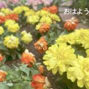 ヒメ日記 2026/06/03 07:22 投稿 さやか CLASSY.東京・錦糸町店