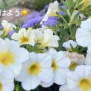 さやか CLASSY.東京・錦糸町店（錦糸町/デリヘル）