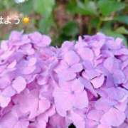 ヒメ日記 2026/06/13 07:22 投稿 さやか CLASSY.東京・錦糸町店