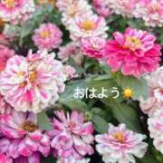 ヒメ日記 2026/06/17 07:22 投稿 さやか CLASSY.東京・錦糸町店