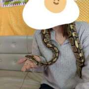 ヒメ日記 2025/01/06 11:07 投稿 さとみ 横浜秘密倶楽部